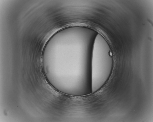 X0000101680852200807101143