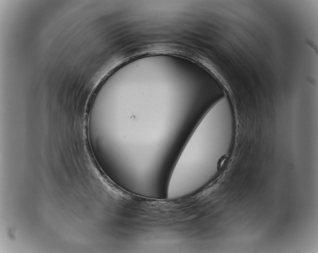 X0000101680853200807101143