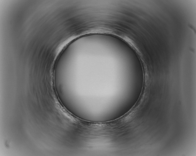 X0000101680854200807101143