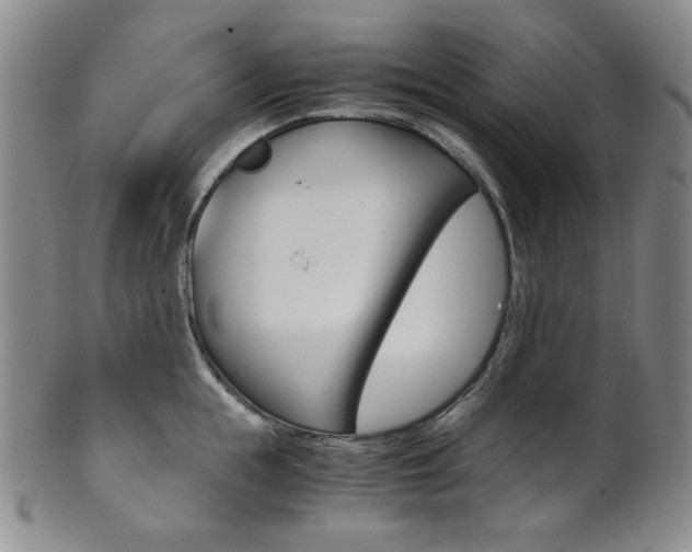 X0000101680855200807101143
