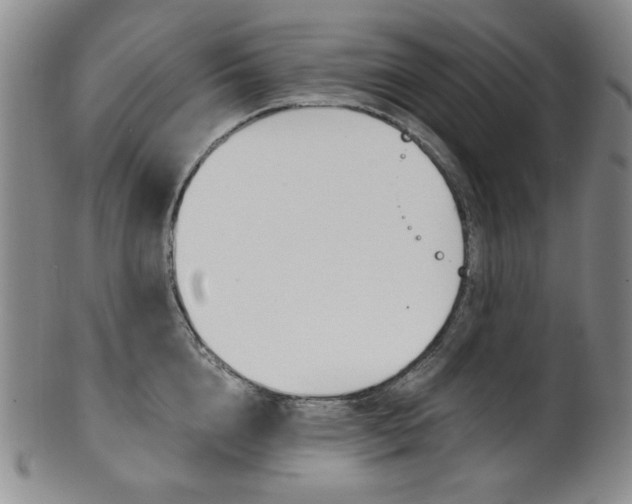 X0000101680856200807101143