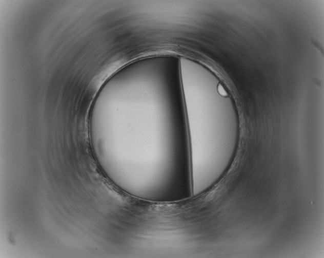 X0000101680858200807101143