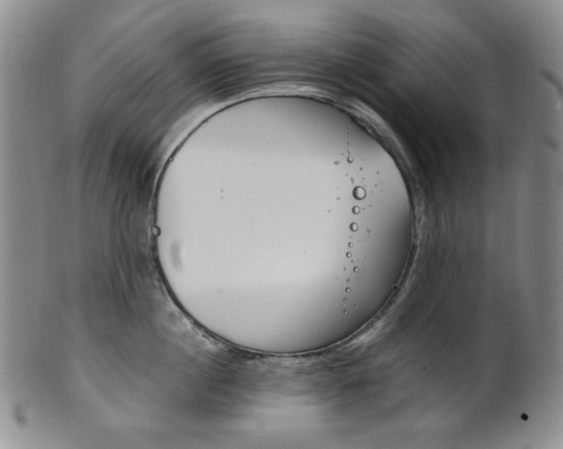 X0000101680860200807101143