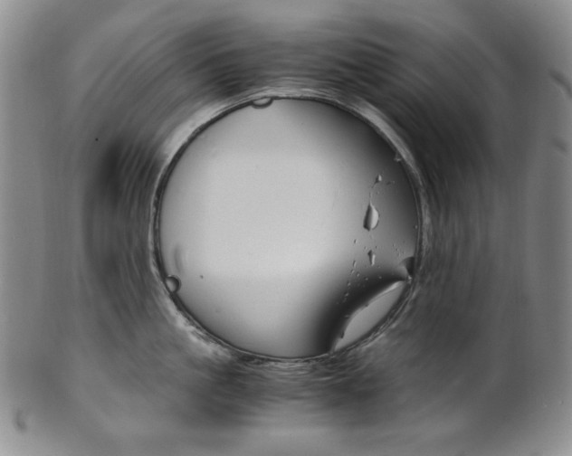 X0000101680861200807101143