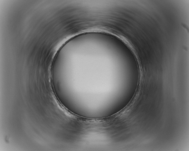 X0000101680862200807101143