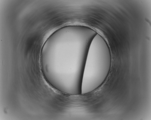 X0000101680863200807101143