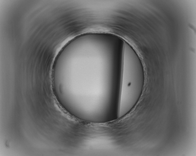 X0000101680864200807101143