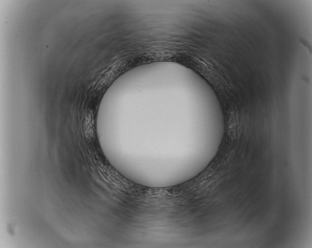 X0000101680866200807101142