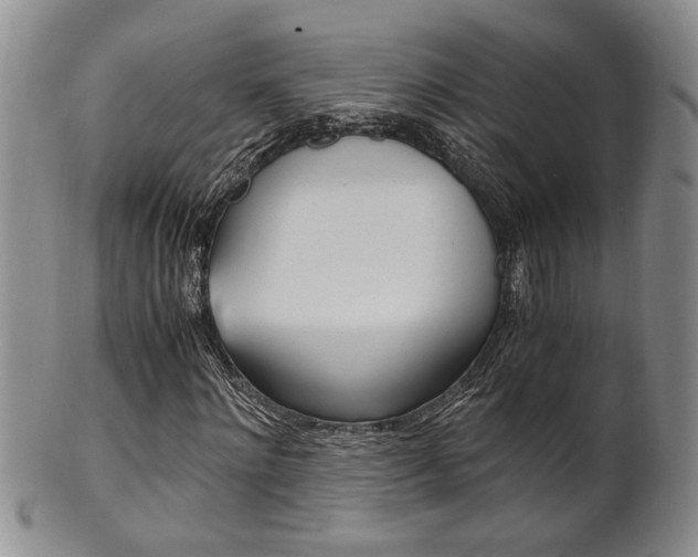 X0000101680868200807101142