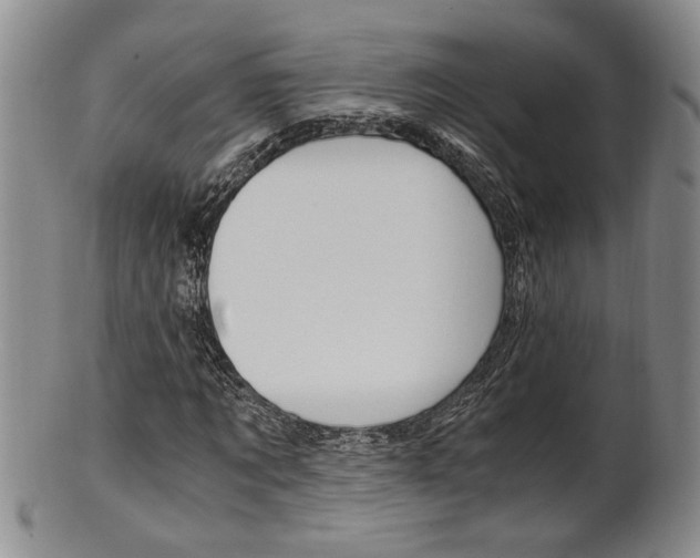 X0000101680869200807101142