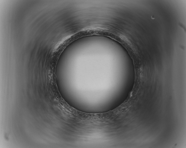 X0000101680872200807101142
