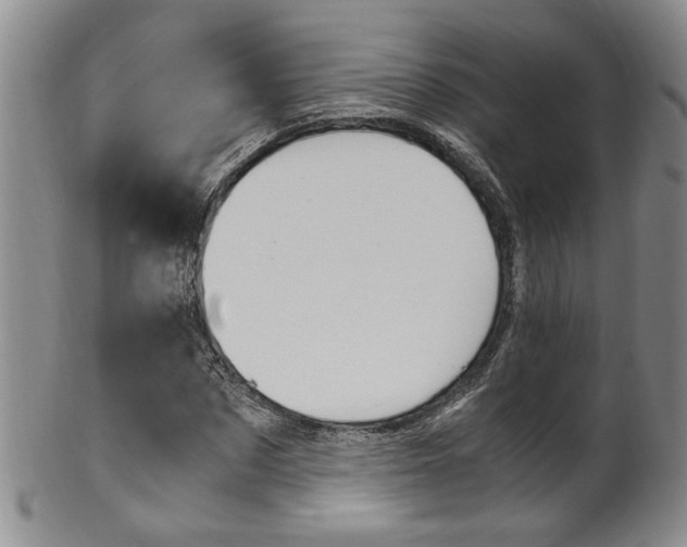 X0000101680873200807101142