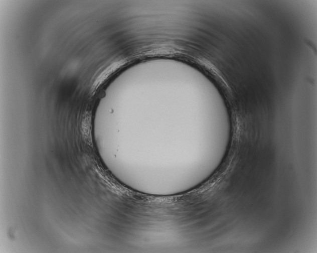 X0000101680874200807101142