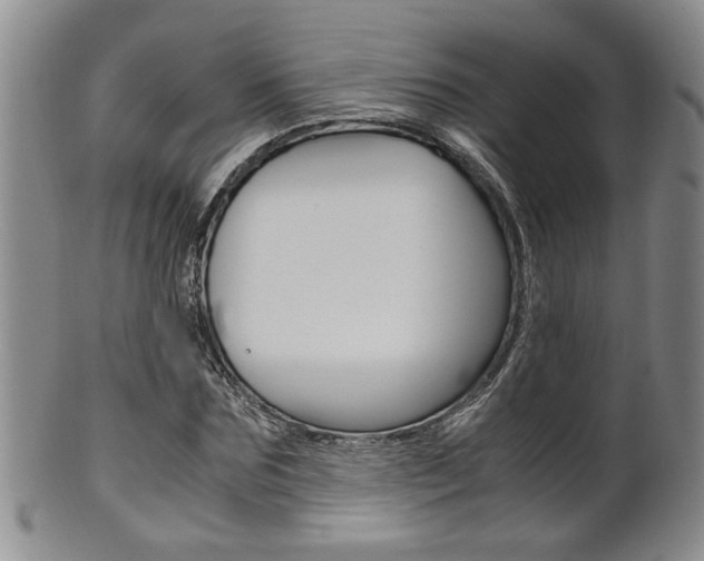 X0000101680875200807101142