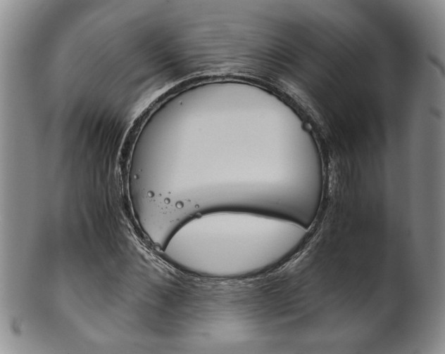X0000101680876200807101142