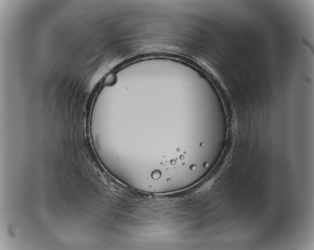 X0000101680877200807101142