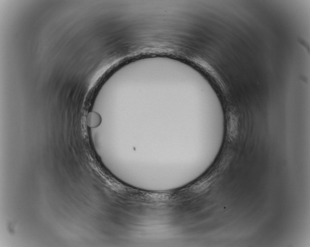 X0000101680878200807101142