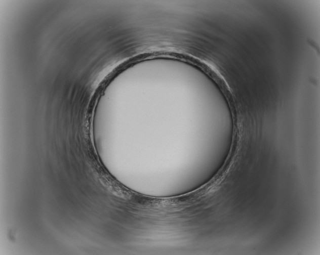 X0000101680879200807101142