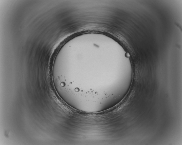 X0000101680880200807101142