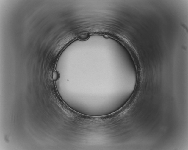 X0000101680881200807101142