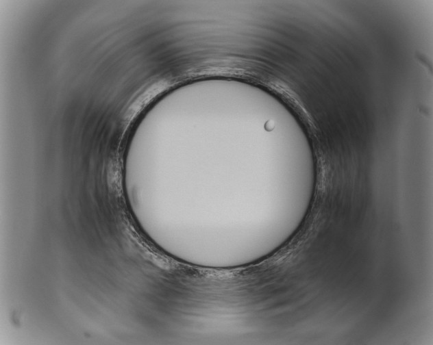 X0000101680882200807101142