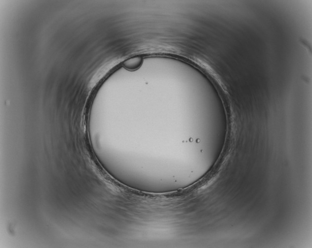 X0000101680885200807101142