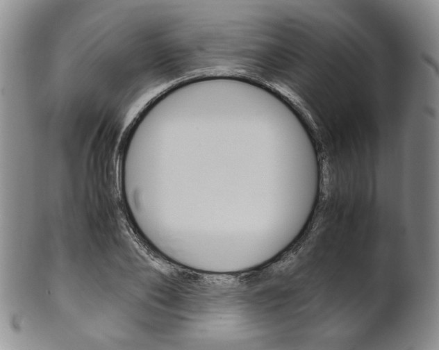 X0000101680886200807101142