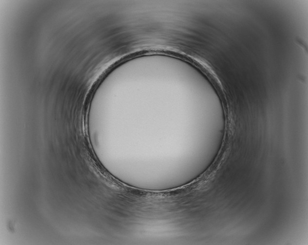 X0000101680887200807101142