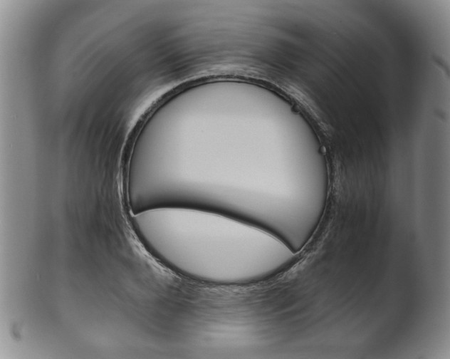 X0000101680888200807101142