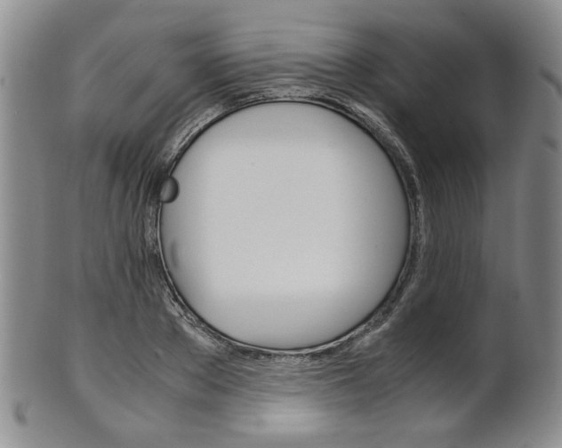 X0000101680889200807101142