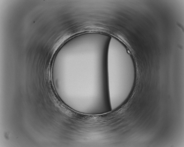 X0000101680891200807101142