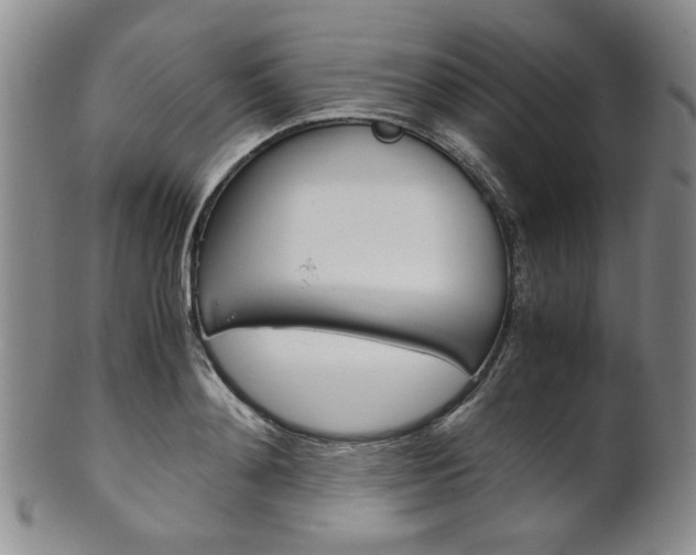 X0000101680892200807101141