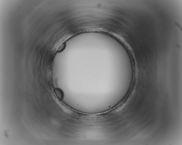 X0000101680897200807101141