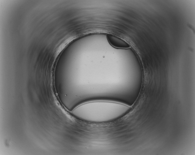 X0000101680898200807101141