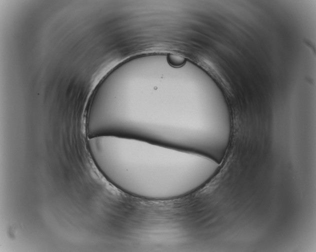 X0000101680900200807101141