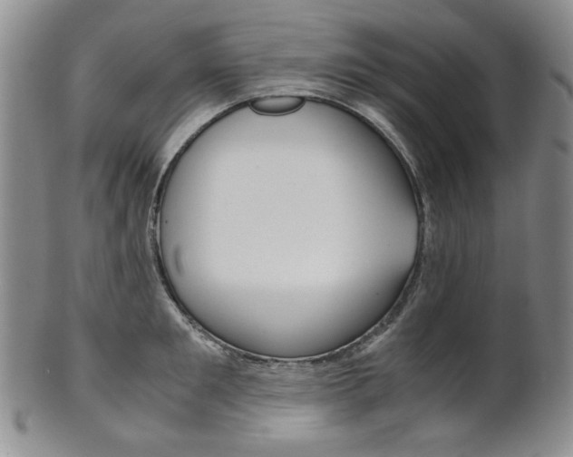 X0000101680901200807101141