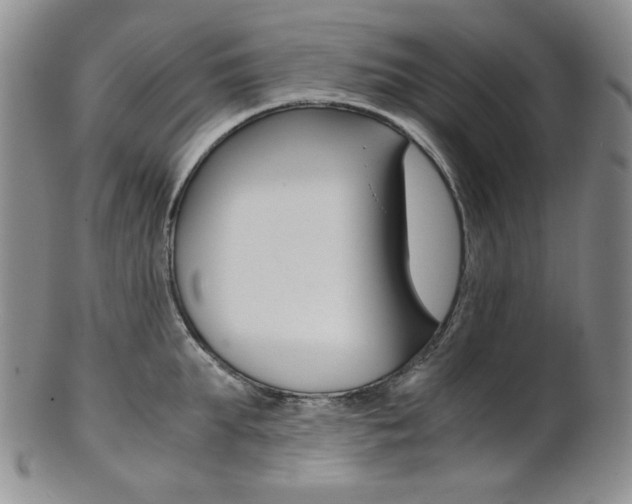 X0000101680903200807101141