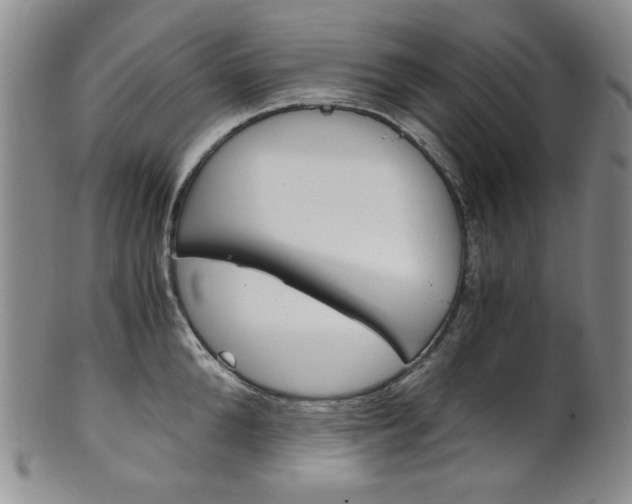 X0000101680904200807101141