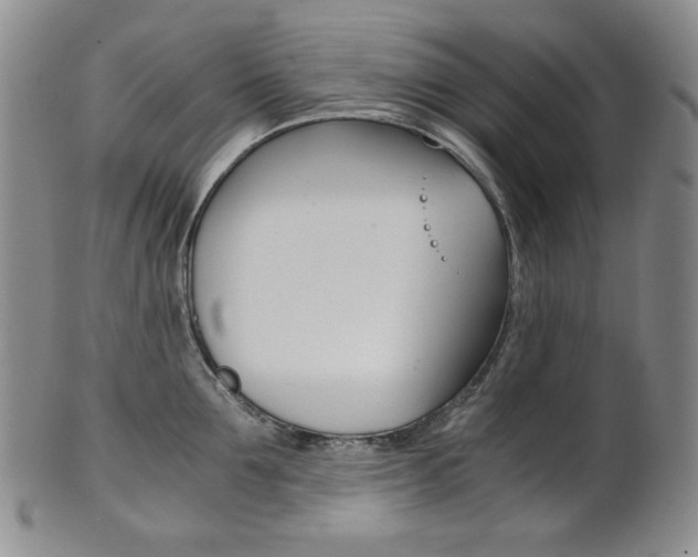 X0000101680907200807101141