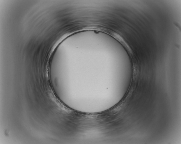 X0000101680908200807101141