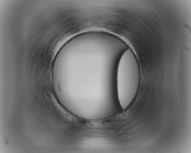 X0000101680911200807101141