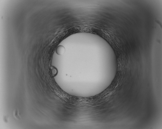 X0000101680913200807101140
