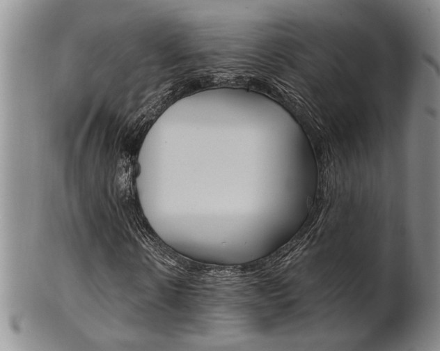 X0000101680914200807101140