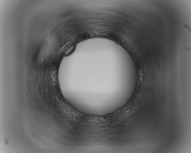 X0000101680915200807101140