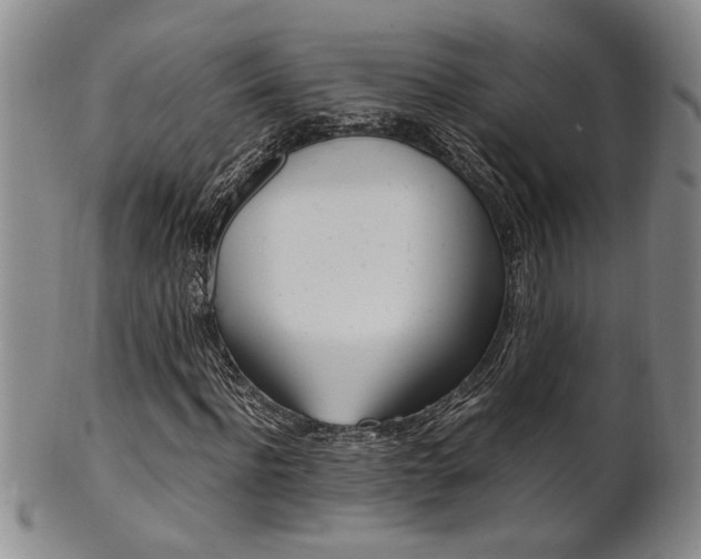 X0000101680916200807101140