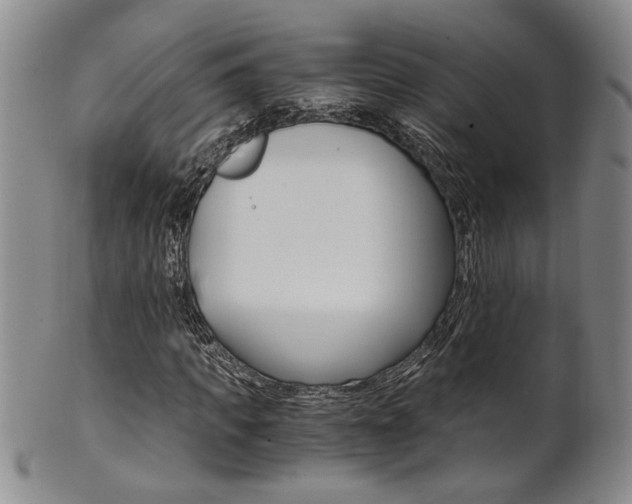 X0000101680917200807101140