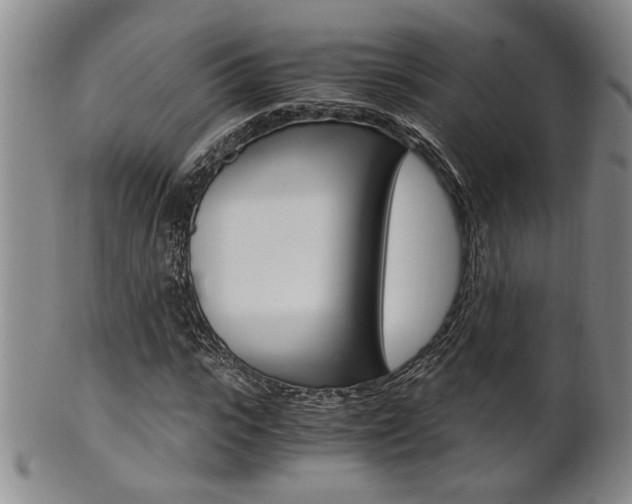 X0000101680919200807101140