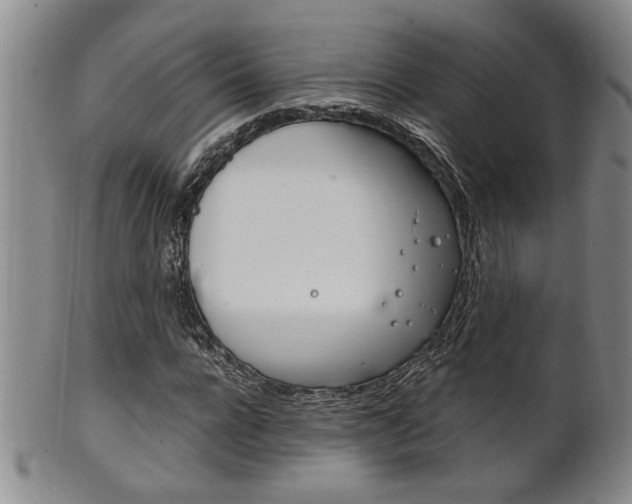 X0000101680920200807101140