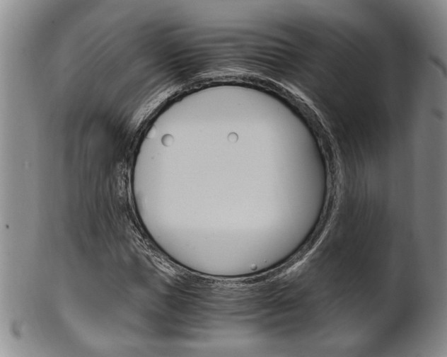 X0000101680921200807101140