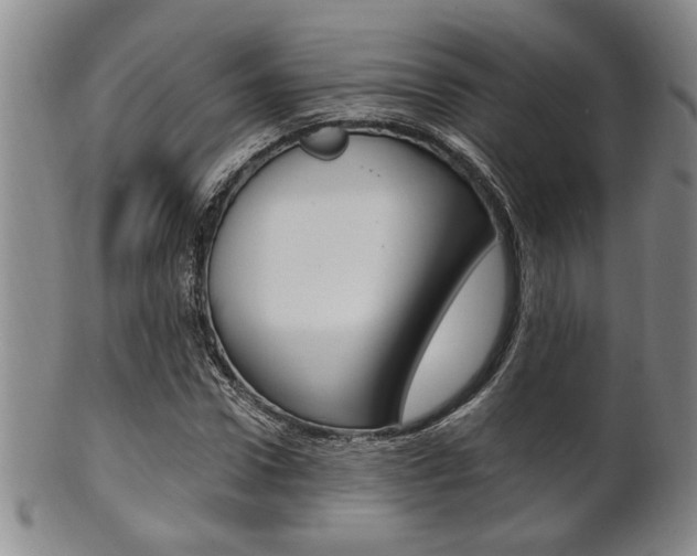 X0000101680922200807101140